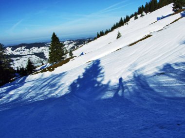 Kış oyun ışık ve gölge İsviçre Alpleri'nde - Appenzell Ausserrhoden Canton, İsviçre