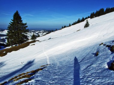 Kış oyun ışık ve gölge İsviçre Alpleri'nde - Appenzell Ausserrhoden Canton, İsviçre