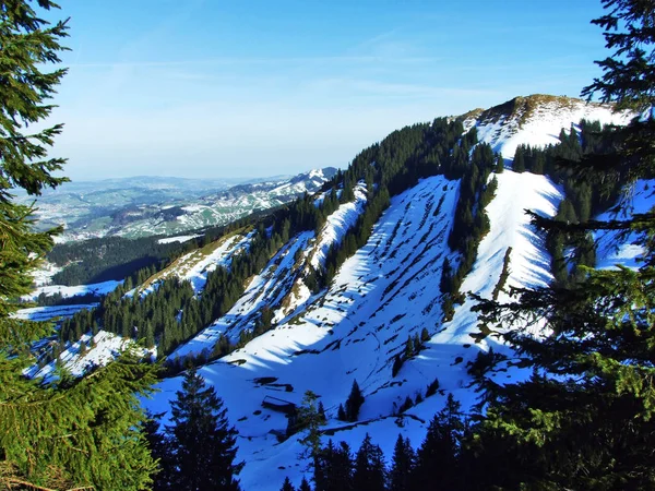 Panoramautsikt Från Toppen Spitzli Nära Den Urnasch Bosättningen Canton Appenzell — Stockfoto