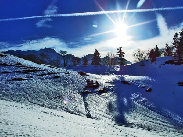 スイス アルプス アッペンツェル Ausserrhoden カントンのスイス連邦共和国の光と影の冬のゲーム — ストック写真