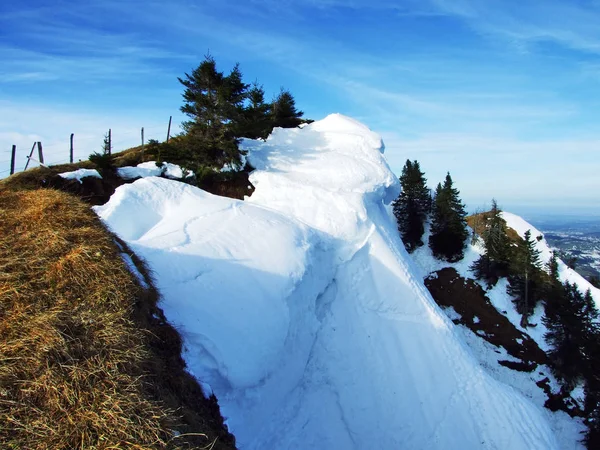 Jogo Inverno Luz Sombra Nos Alpes Suíços Cantão Appenzell Ausserrhoden — Fotografia de Stock