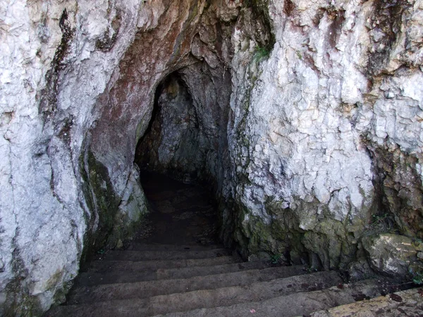 Een Passage Een Rots Watervallen Rivier Rijn Kanton Schaffhausen Zwitserland — Stockfoto