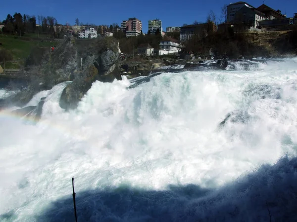 Cataratas Del Rin Cascada Rheinfall Neuhausen Rheinfall Cantón Schaffhausen Suiza — Foto de Stock