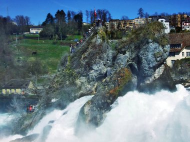 Rhine Falls, Neuhausen üzerinde büyük rock am Rheinfall - Canton Schaffhausen, İsviçre