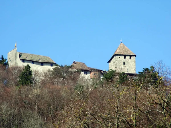 Hohenklingen 城またはシュロス Hohenklingen または Burg Hohenklingen シュタイン ライン シャフハウゼン スイスのカントン — ストック写真