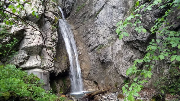 Walenstadt ザンクト ガレンのカントン スイス連邦共和国 Widenbach ストリームの滝 — ストック写真