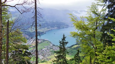 Ağaçlar ve karışık ormanlar arasında Churfirsten dağ ve göl Walensee - Canton St. Gallen, İsviçre yamaçlarında