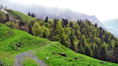 Ağaçlar ve karışık ormanlar arasında Churfirsten dağ ve göl Walensee - Canton St. Gallen, İsviçre yamaçlarında