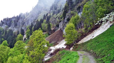 Ağaçlar ve karışık ormanlar arasında Churfirsten dağ ve göl Walensee - Canton St. Gallen, İsviçre yamaçlarında