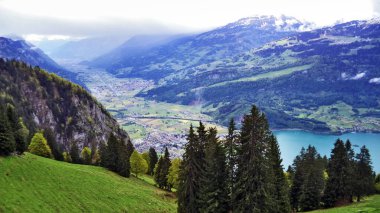 Ağaçlar ve karışık ormanlar arasında Churfirsten dağ ve göl Walensee - Canton St. Gallen, İsviçre yamaçlarında