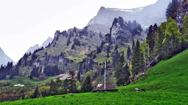 Bäume Und Mischwälder Den Hängen Zwischen Den Churfirsten Und Dem — Stockfoto