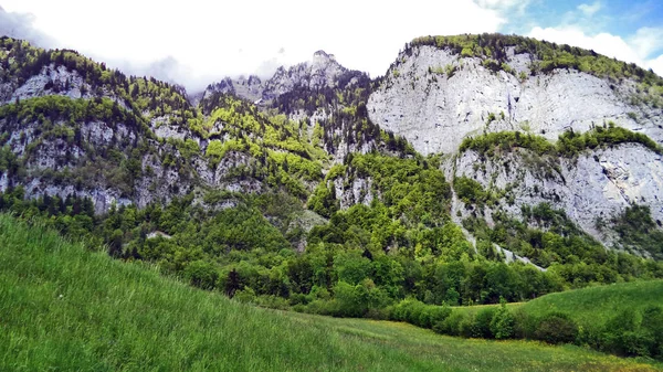 Drzew Lasów Mieszanych Stokach Między Pasmo Górskie Churfirsten Jezioro Walensee — Zdjęcie stockowe