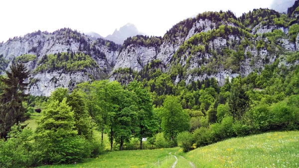 Churfirsten 山脈と湖 Walensee ザンクト ガレンのカントン スイス連邦共和国との間の斜面林 — ストック写真