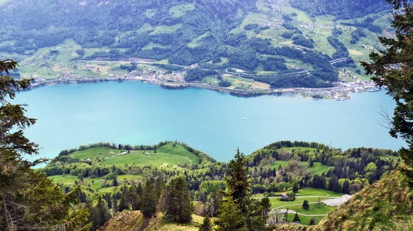 Sjön Walensee Dalen Seeztal Och Mellan Churfirsten Och Glarus Alperna — Stockfoto