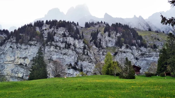 Pastviny Louky Mezi Pouze Pohoří Jezero Walensee Kantonu Gallen Švýcarsko — Stock fotografie