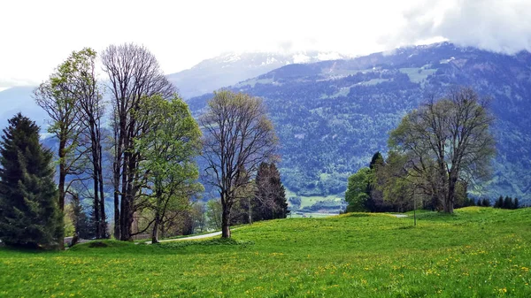 Pastagens Prados Entre Cordilheira Churfirsten Lago Walensee Cantão Gallen Suíça — Fotografia de Stock