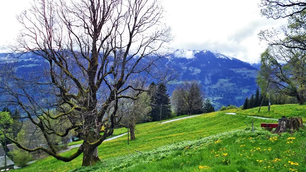 Pastures Meadows Churfirsten Mountain Range Lake Walensee Canton Gallen Switzerland — Stock Photo, Image