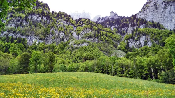Weiden Weilanden Tussen Bergketen Van Churfirsten Lake Walensee Kanton Gallen — Stockfoto