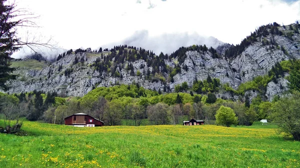 Granjas Ganaderas Alpinas Arquitectura Tradicional Las Laderas Meridionales Cordillera Churfirsten — Foto de Stock