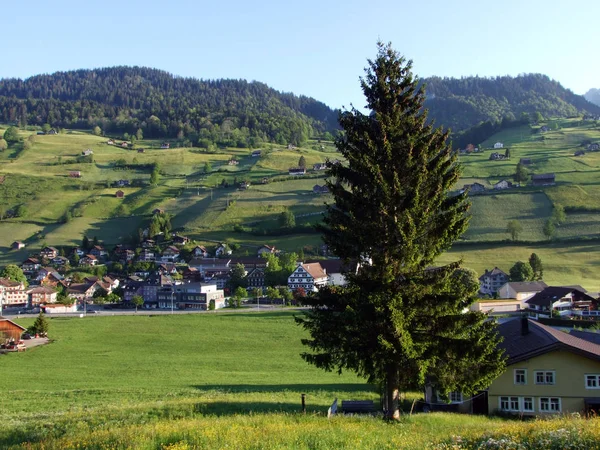 Alt Johann Toggenburg Régióban Thur River Valley Gallen Kanton Svájc — Stock Fotó