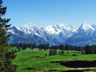 Churfirsten - Canton St. Gallen, İsviçre dağ silsilesi Alpstein dağ zincirinden görüntüleyin