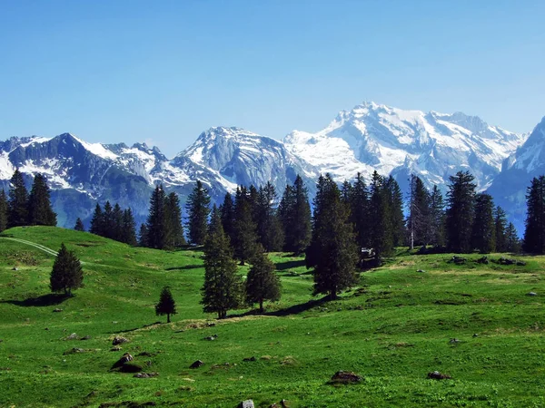 Vista Cordillera Alpstein Desde Cadena Montañosa Churfirsten Cantón Gallen Suiza — Foto de Stock
