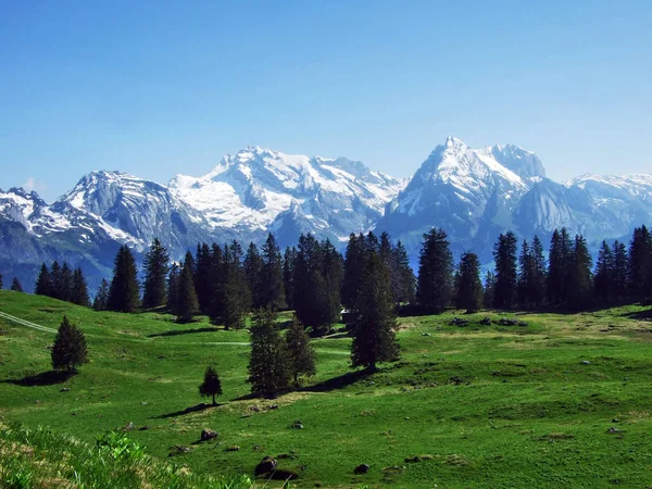 Uitzicht Bergketen Alpstein Van Bergketen Churfirsten Kanton Gallen Zwitserland — Stockfoto