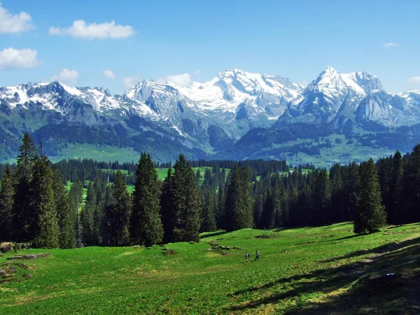 Uitzicht Bergketen Alpstein Van Bergketen Churfirsten Kanton Gallen Zwitserland — Stockfoto
