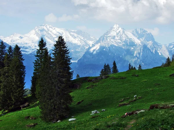 从山脉链 Churfirstenste 的山间看阿尔普斯坦 — 图库照片