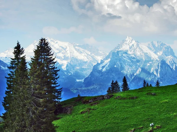 Churfirsten - Canton St. Gallen, İsviçre dağ silsilesi Alpstein dağ zincirinden görüntüleyin