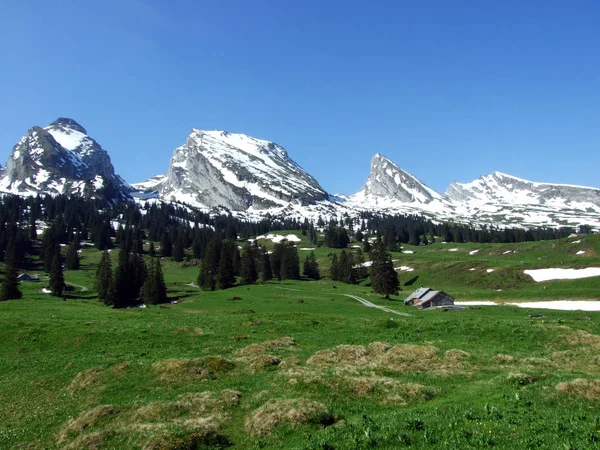 Berg Massale Churfirsten Tussen Riviervalleien Thurtal Zwitserse Kanton Gallen Zwitserland — Stockfoto