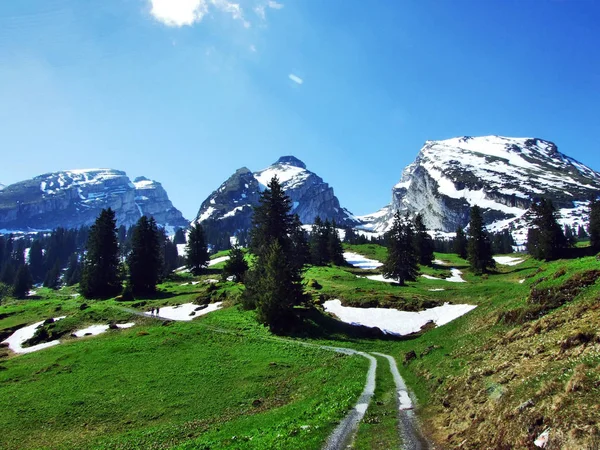 Górskie Churfirsten Masywne Między Dolinach Rzek Thurtal Seeztal Kantonu Gallen — Zdjęcie stockowe
