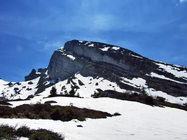 Alpin Topp Zuestoll Bergskedjan Churfirsten Mellan Toggenburg Regionen Och Sjön — Stockfoto