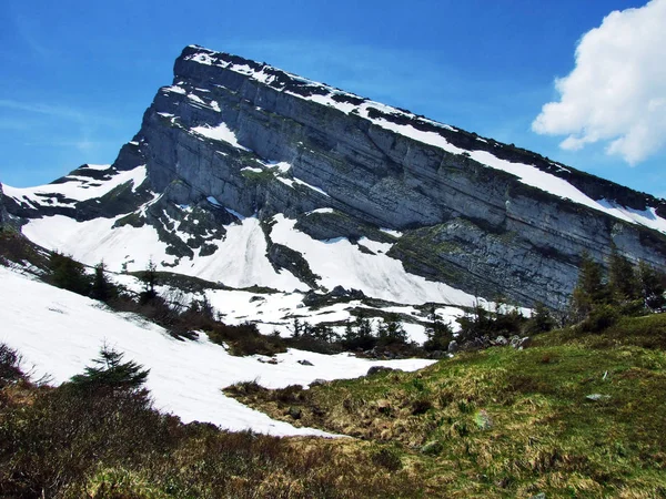 Dağ Tepe Zuestoll Churfirsten Sıradağları Arasında Toggenburg Bölge Göl Walensee — Stok fotoğraf