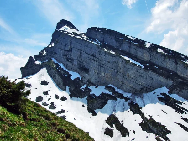 Альпійським Піком Zuestoll Churfirsten Гірський Хребет Між Toggenburg Регіону Озеро — стокове фото