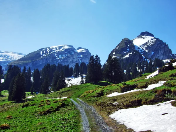 Picos Alpinos Schibenstoll Zuestoll Cordillera Churfirsten Entre Región Toggenburg Lago —  Fotos de Stock