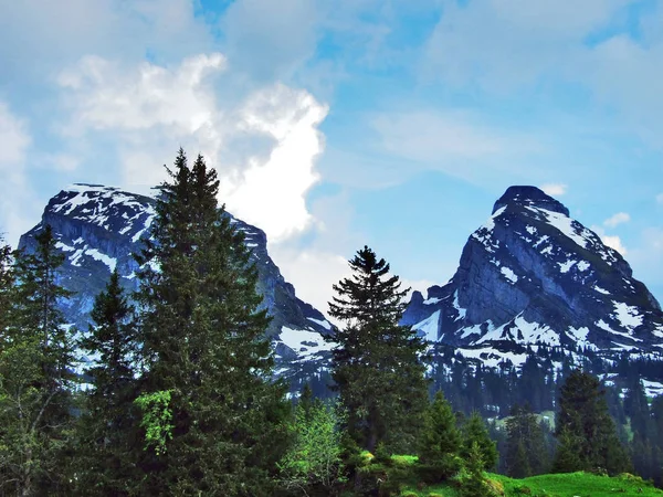 Churfirsten 山脉的阿尔卑斯山山峰 Schibenstoll Zuestoll 位于托根堡地区和瓦伦西湖之间 瑞士圣加仑州 — 图库照片