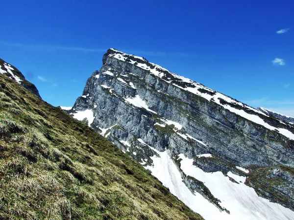 Pico Alpino Brisi Cordillera Churfirsten Entre Región Toggenburg Lago Walensee — Foto de Stock