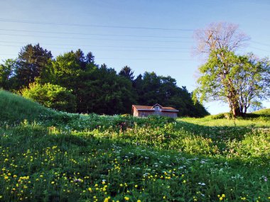 Alp Hayvancılık çiftlik ve ahır Churfirsten dağ silsilesi - Canton St. Gallen, İsviçre eteklerinde