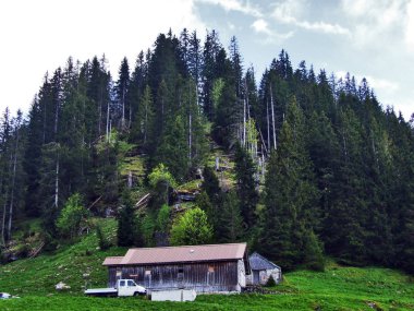 Alp Hayvancılık çiftlik ve ahır Churfirsten dağ silsilesi - Canton St. Gallen, İsviçre eteklerinde