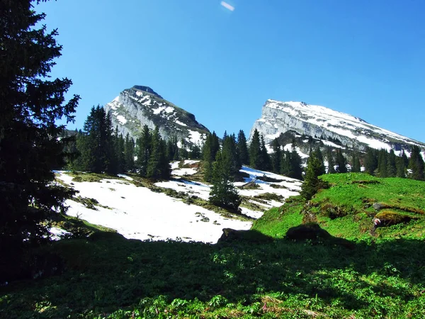 Pics Alpins Zuestoll Brisi Dans Chaîne Montagnes Churfirsten Entre Région — Photo