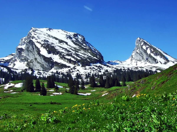 Alp Peaks'e Brisi ve Frumsel Churfirsten Sıradağları arasında Toggenburg bölge ve göl Walensee - Canton St. Gallen, İsviçre