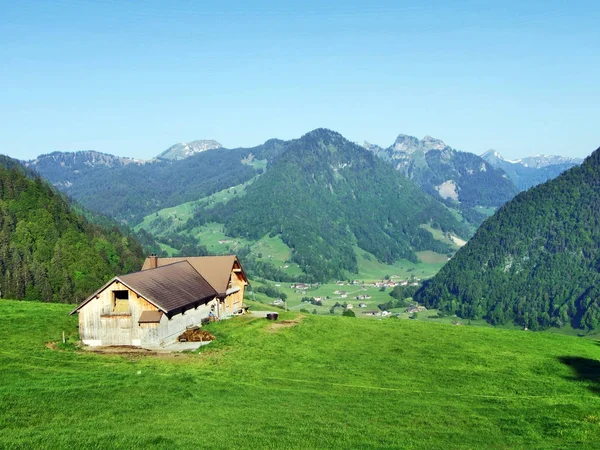 Alp Hayvancılık Çiftlik Ahır Churfirsten Dağ Silsilesi Canton Gallen Sviçre — Stok fotoğraf