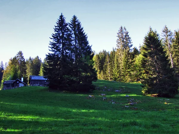 高山畜産農場および Churfirsten ザンクト ガレンのカントン スイス連邦共和国の斜面に馬小屋 — ストック写真