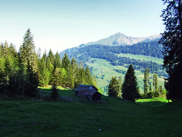 Explorações Pecuárias Alpinas Estábulos Nas Encostas Cordilheira Churfirsten Cantão Gallen — Fotografia de Stock