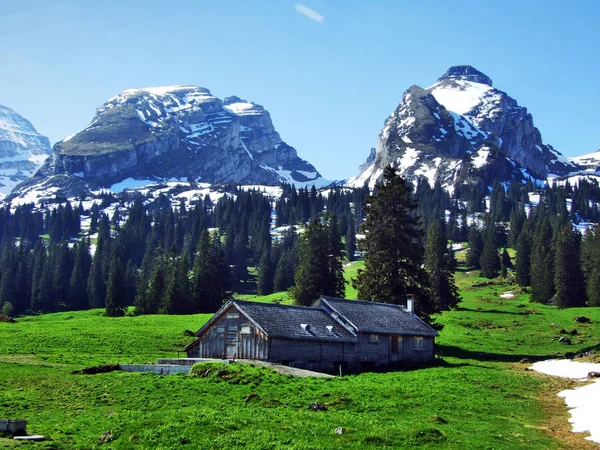 Alpine Veehouderijen Stallen Hellingen Van Churfirsten Bergketen Kanton Gallen Zwitserland — Stockfoto