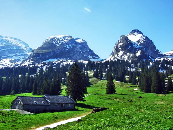 Gospodarstwa Hodowlane Alpejskie Stajnie Stokach Churfirsten Pasmo Górskie Kantonu Gallen — Zdjęcie stockowe