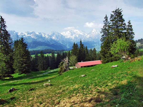 Granjas Ganaderas Alpinas Establos Las Laderas Cordillera Churfirsten Cantón Gallen — Foto de Stock