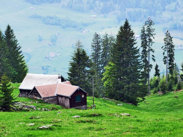 알파인 농장과 Churfirsten 장크트 스위스의 마구간 — 스톡 사진