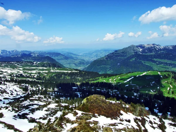 Churfirsten 山脈と Thurtal バレー ザンクト ガレンのカントン スイス連邦共和国との間の斜面に常緑の森林 — ストック写真
